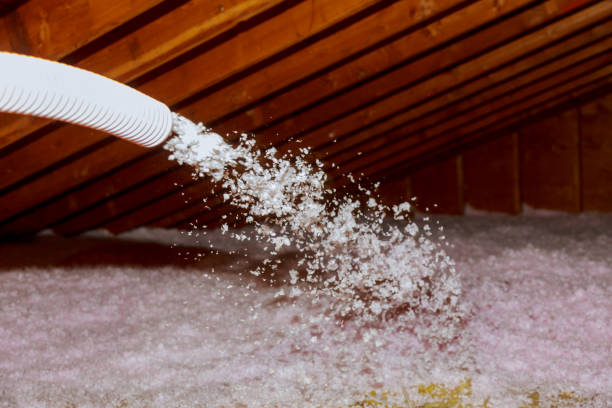 Best Geographic-Specific Insulation Services in Sandston, VA