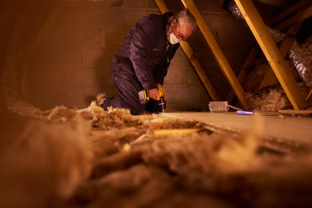 Best Specialized Insulation Services in Sandston, VA